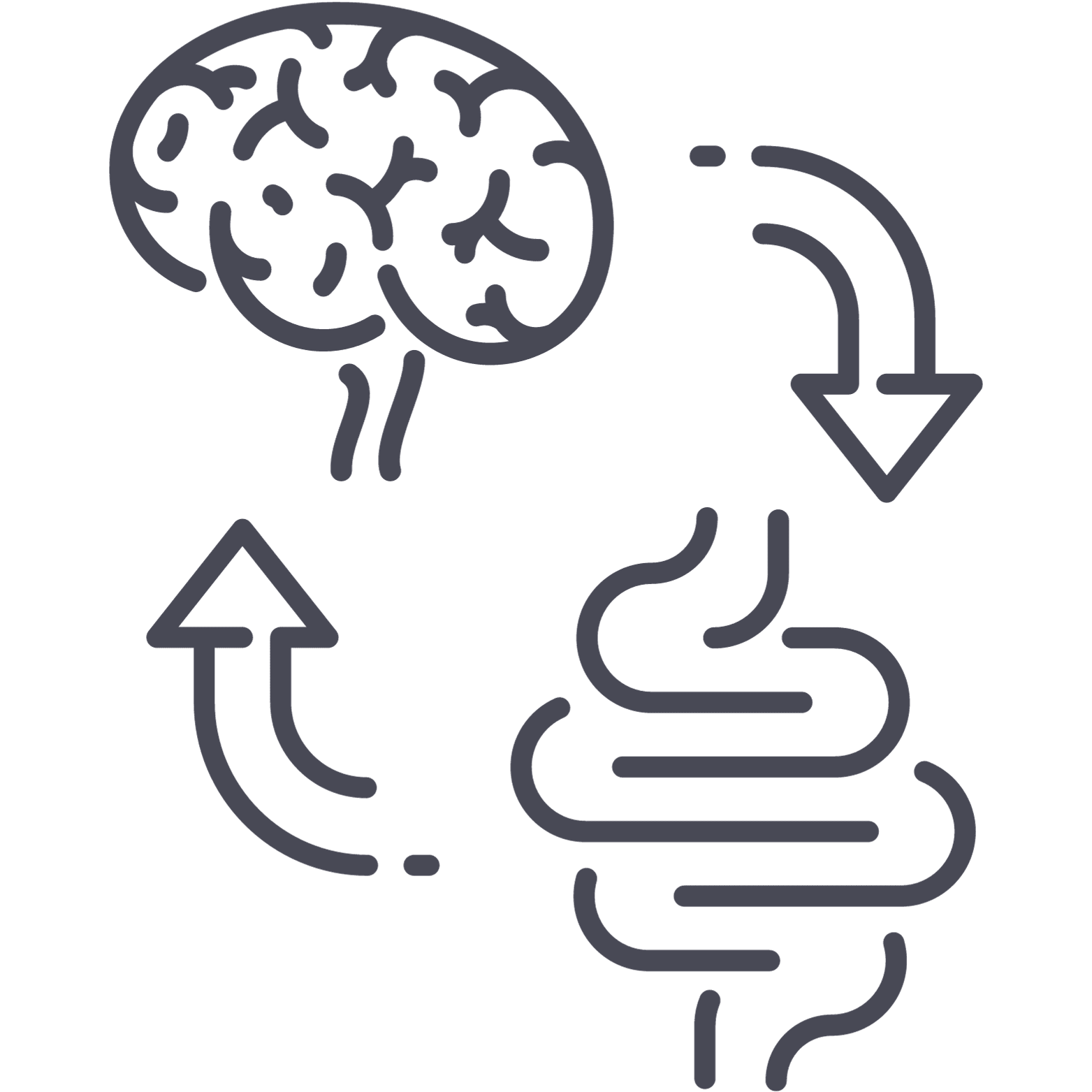 Diagram showing the gut-brain axis connection — how the gut and brain communicate bidirectionally
